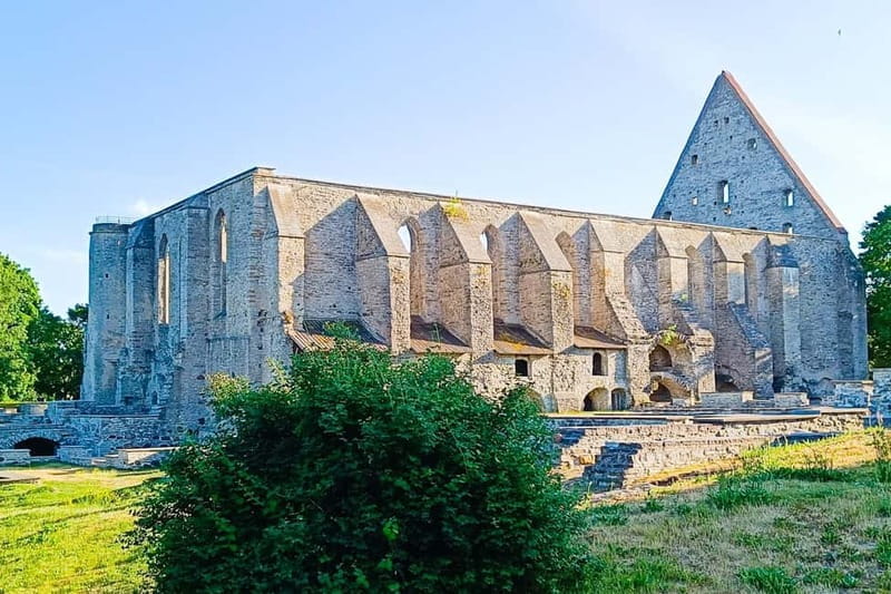 Tales of Tallinn: 4-hour Combo Bus & Walking Tour - Who Is This Tour Best For?