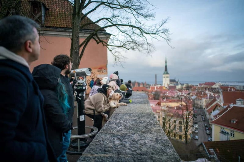 Tallinn: 1.5-Hour Old Town Walking Tour - Exploring Tallinn’s Medieval Heart in 2 Hours