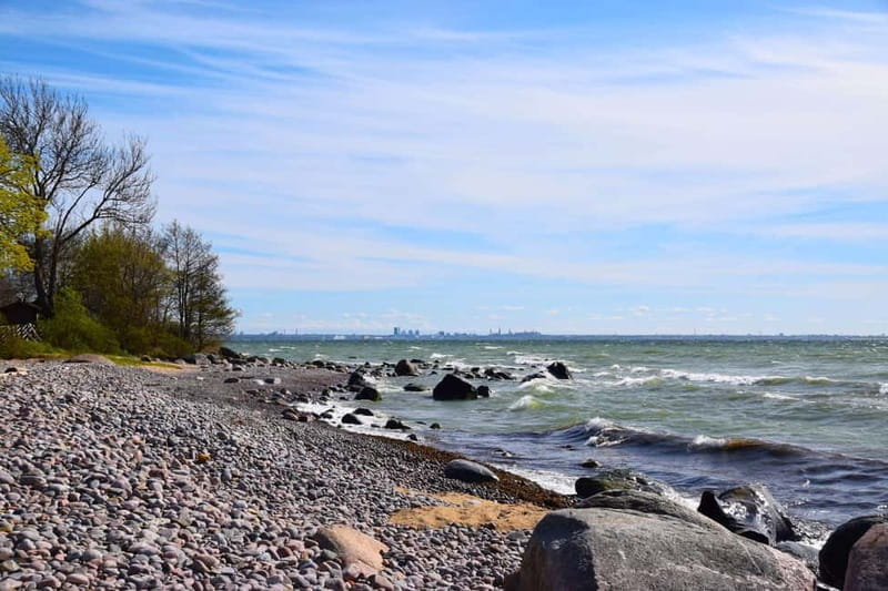 Tallinn: 3-Hour Ethnographic Museum of Estonia - The Open-Air Museum Layout and Buildings