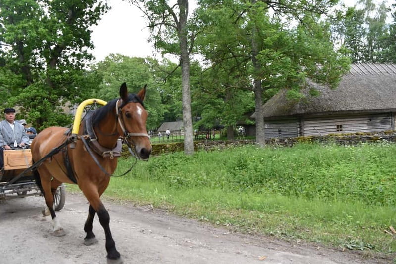 Tallinn: 3-Hour Ethnographic Museum of Estonia - The Cultural and Personal Side of the Tour