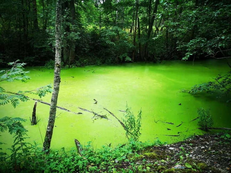 Tallinn: Astangu Nature and History Hike - Practical Details: What You Need to Know