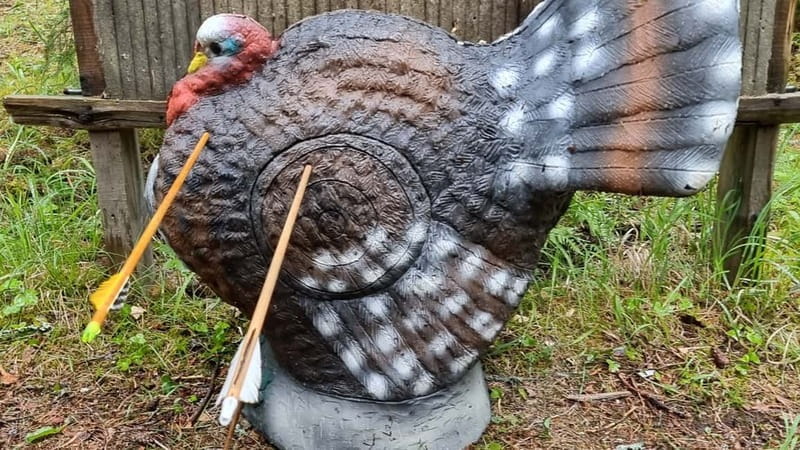 Tallinn: Beginner Archery Class with Transfer - Key Points and Takeaways