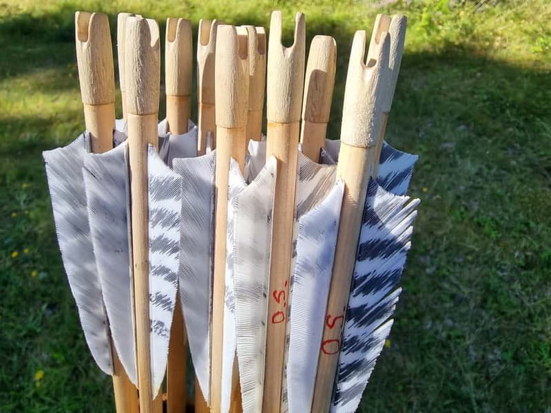 Tallinn: Beginner Archery Class with Transfer - The Practical Details: What to Expect in Tallinn’s Beginner Archery Class