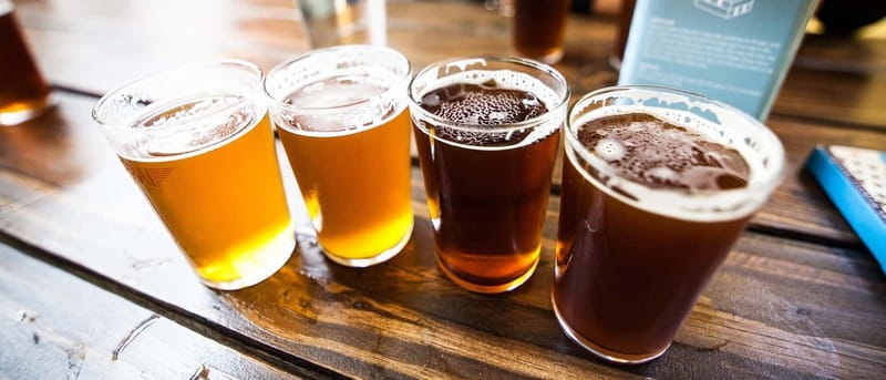 Tallinn: Estonian Craft Beer Tasting - Who Should Consider This Experience?