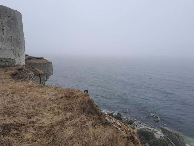 Tallinn: Hidden Gems of Northern Estonia Half Day Trip 5h - Who Would Love This Tour?