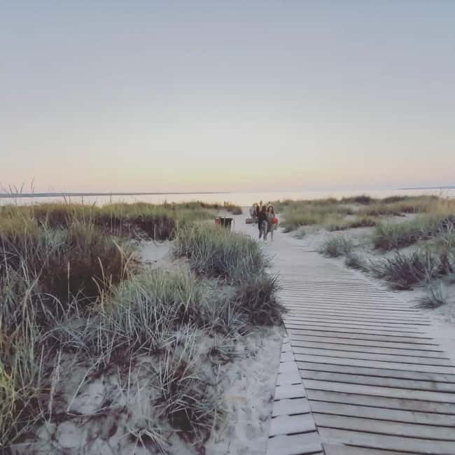 Tallinn: Hidden Gems of Northern Estonia Half Day Trip 5h - Practical Tips for Your Trip