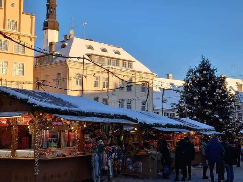 Tallinn Town Hall with a guide - Price, Logistics, and Practical Tips