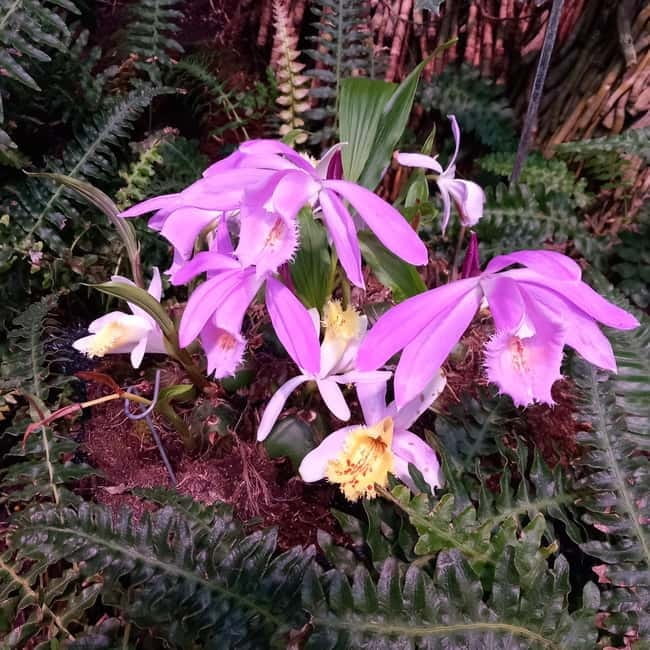 Tallinn TV tower and Botanic garden (a tour with a guide) - Exploring the Full Tour Experience in Depth