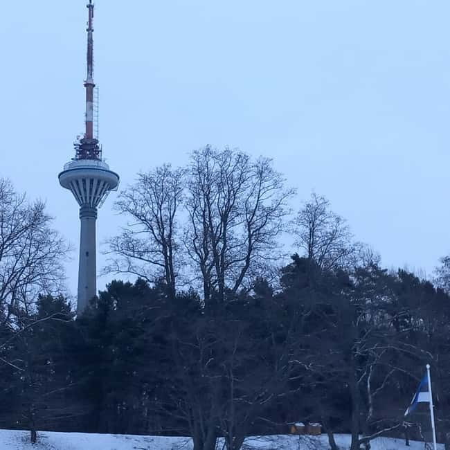 Tallinn TV tower and Botanic garden (a tour with a guide) - FAQs