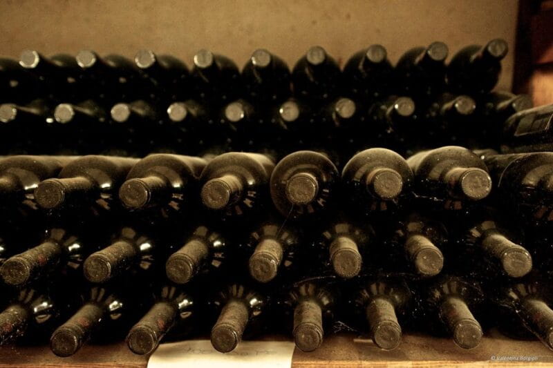 Tamburini Wine Tour and Tasting - Entering Thomscandic Tuscany: A Warm Welcome in a Family Setting