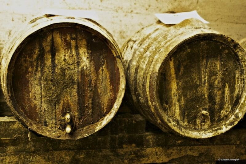 Tamburini Wine Tour and Tasting - Who Will Love This Experience?