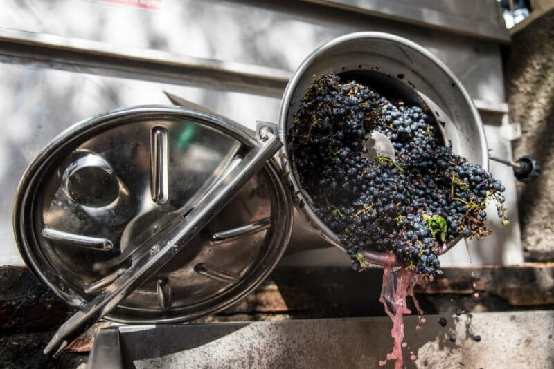 Tamburini Wine Tour and Tasting - FAQ