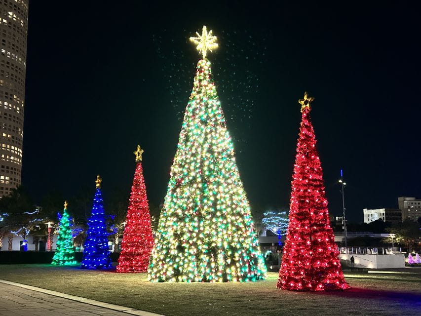 Tampa: Night of Lights Tour by Electric Golf Cart - Architectural Marvels