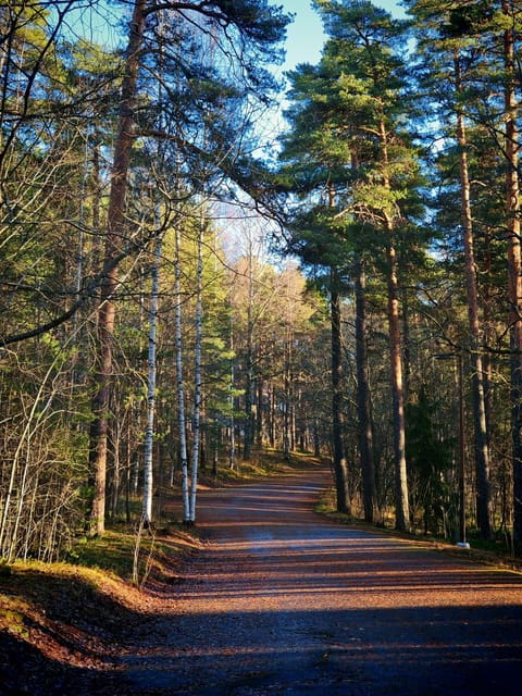 Tampere Panoramic Tour - Who Should Consider This Tour?