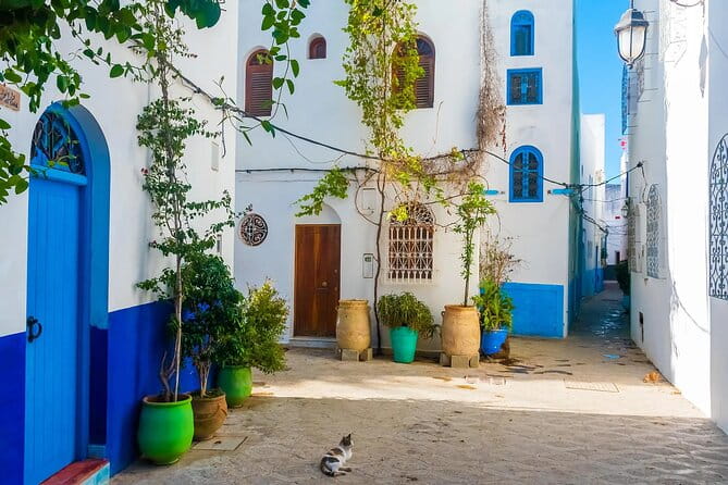 Tangier & Asilah Private Tour with from Malaga or Marbella - Medina of Tangier: An Open-Air Market Wonderland