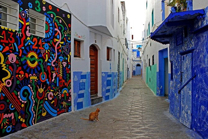 Tangier & Asilah Private Tour with from Malaga or Marbella - The Experience: What Makes It Worthwhile