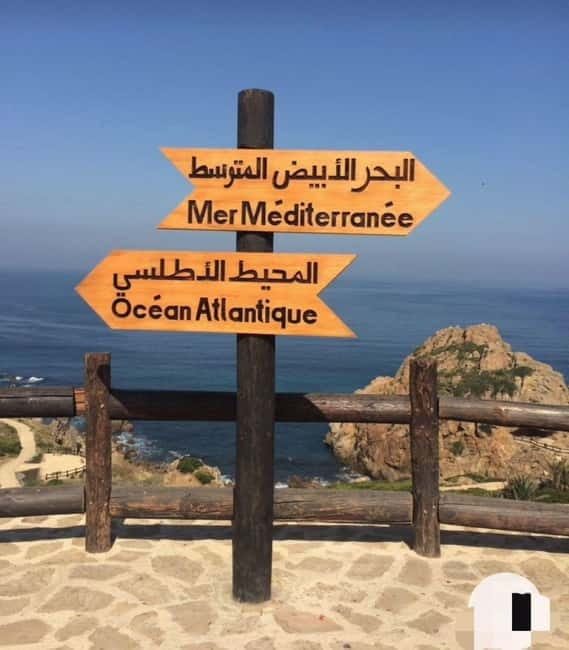 Tangier: Day Trip from Tarifa To Tanger { camel ride { plage - Exploring Tangier’s Highlights