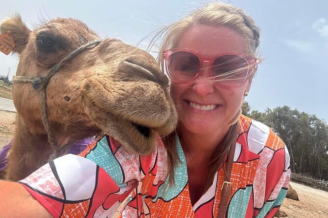 Tangier Luxury Private Day Tour From Tarifa including Camel ride - Frequently Asked Questions