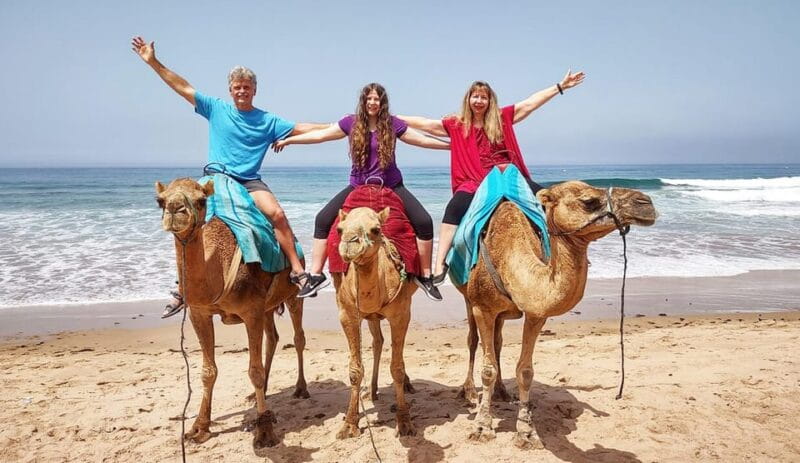 Tangier Private Half-Day Tour + Camel Ride + Add-on: Lunch - Key Points / Takeaways