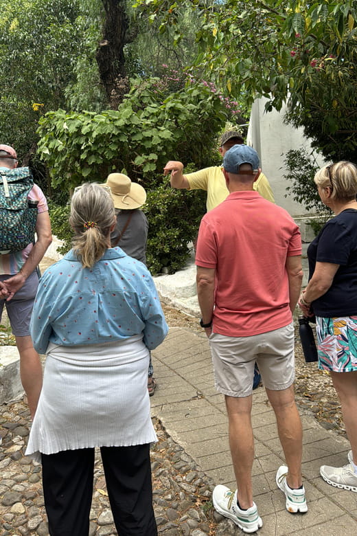 Tangier private luxury tour from Tarifa All inclusive - Exploring the Souks: Shopping and Local Color