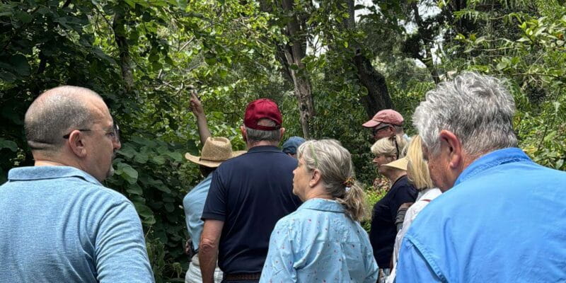 Tangier private luxury tour from Tarifa All inclusive - Additional Cultural Experiences and Tips