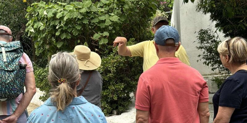 Tangier private luxury tour from Tarifa All inclusive - Who Will This Tour Suit Best?