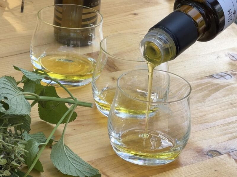 Taormina: cooking class in a farm - Who Will Love This Experience?