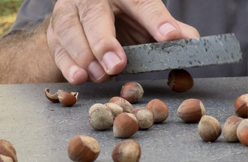 Taormina: Food and wine tour near Etna - Price and Logistics