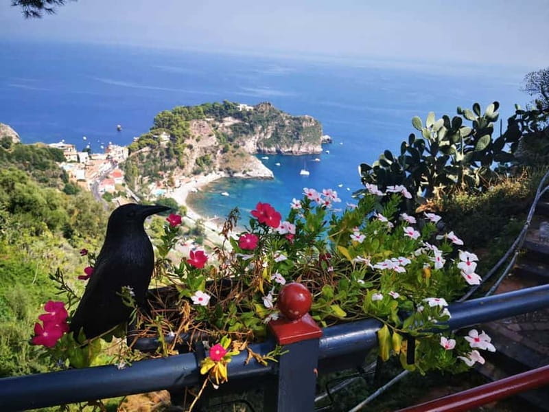 Taormina: Guided Walking Tour - Why This Tour Works Well