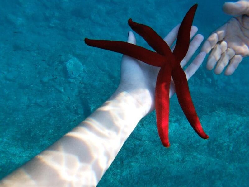 Taormina: White Lotus Tour - Who Would Love This Tour