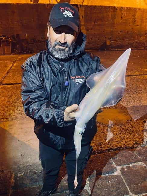 TAORMINA:CATAMARAN FISHING TRIP WITH ROY FISHING - Key points / Takeaways