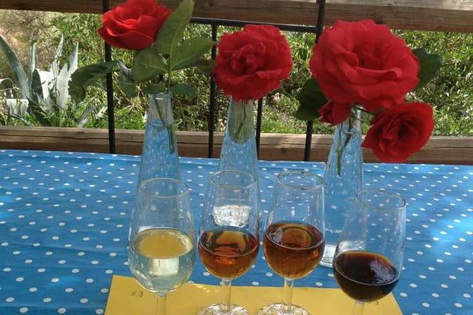 Tapas & Sherry an Andalucian Gourmet Experience. - Analyzing the Value