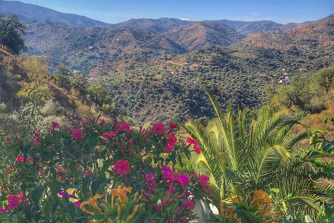 Tapas & Sherry an Andalucian Gourmet Experience. - FAQ