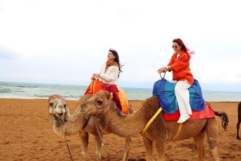 Tarifa: Day trip to Tangier by ferry with lunch and tour guide - Price and value analysis