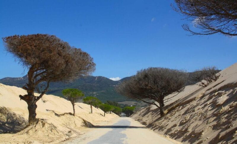 Tarifa: Ebike Rental Ruta del Estrecho - Who Will Love It? Perfect for the Independent Explorer