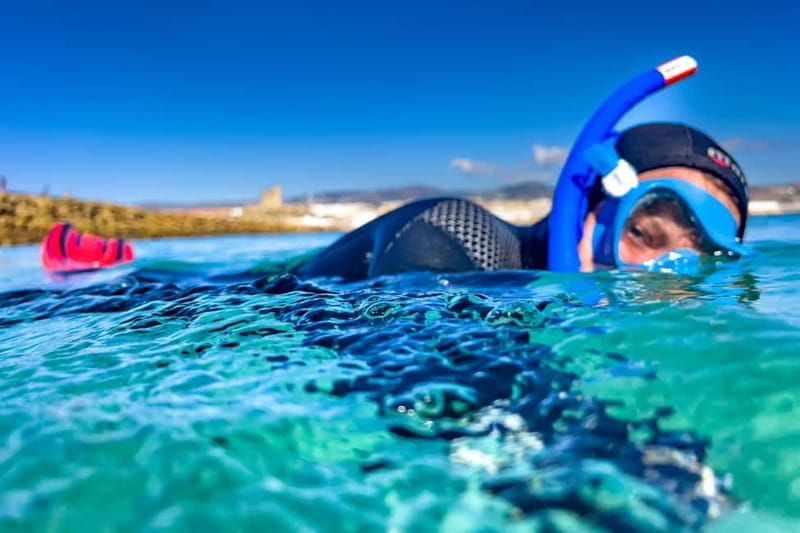 Tarifa: Guided Strait Natural Park Snorkel Tour - Practical Tips for Your Snorkel Tour