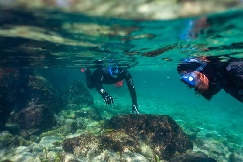 Tarifa: Guided Strait Natural Park Snorkel Tour - Frequently Asked Questions