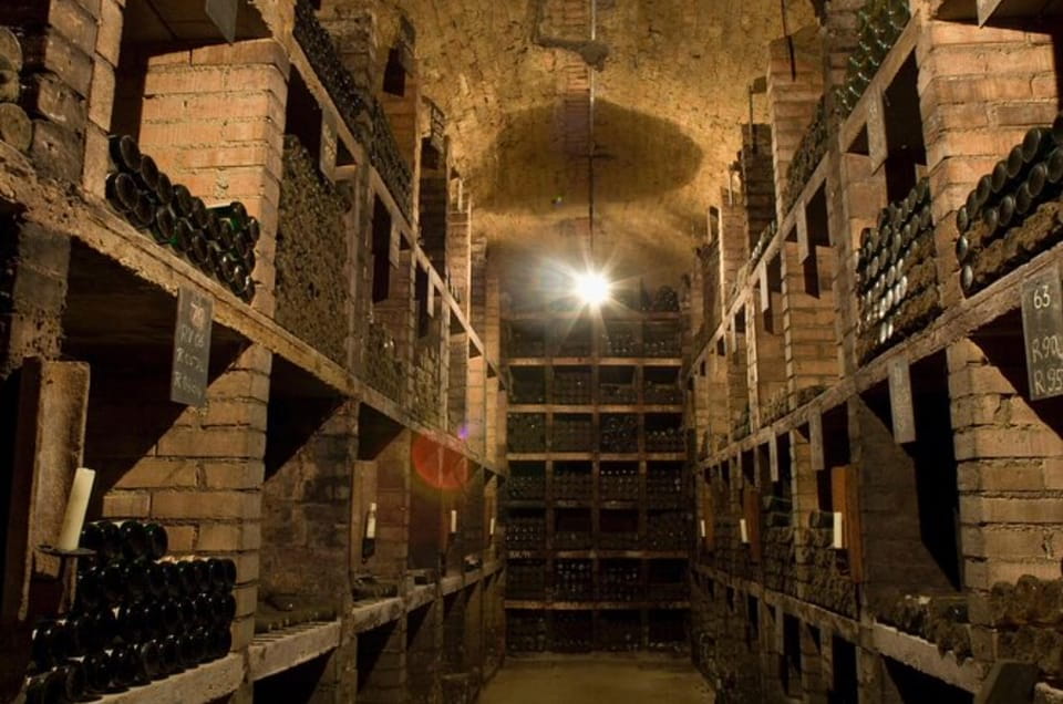 Taste and Tour Small Organic Wineries With a Winemaker - Local Cheese Pairings