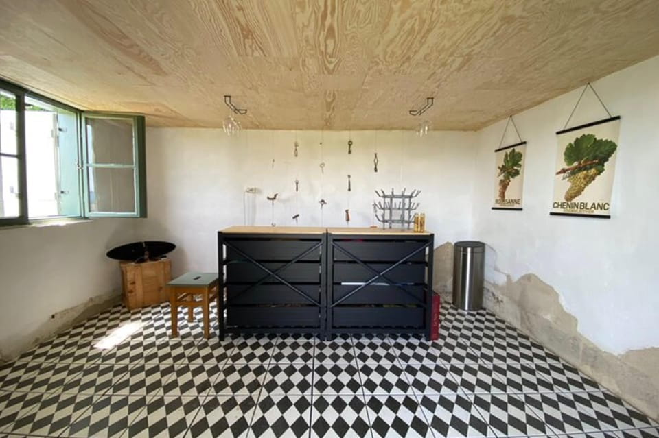 Taste and Tour Small Organic Wineries With a Winemaker - Winemakers Expertise