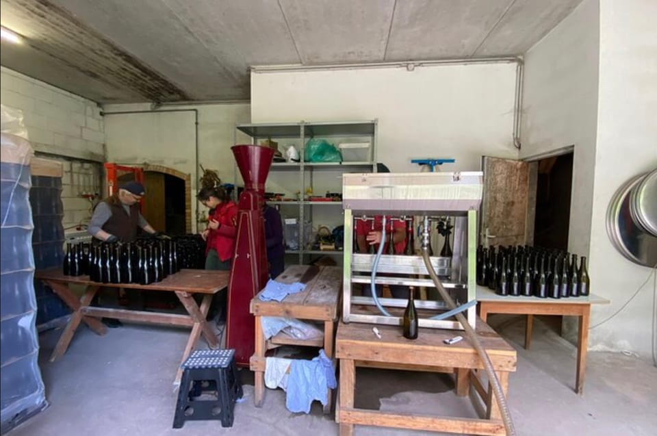 Taste and Tour Small Organic Wineries With a Winemaker - Booking and Cancellation