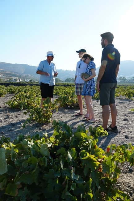 Taste & Create: Santorini Wine & Cooking Experience - Who Should Consider This Experience?