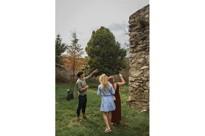 Taste Local Wines and Discover Pezinok - Unpacking the Experience: A Detailed Look