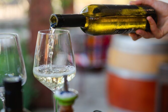 Taste of Istria - Wine, Brandy, Vinegar, Local Food - Tasting the Region