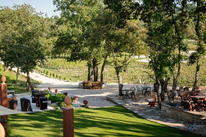 Taste of Istria - Wine, Brandy, Vinegar, Local Food - Unique Offerings