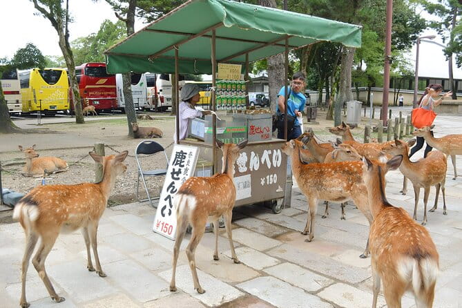 Taste of Nara A Guided Half Day Food Tour Tailored to Your Taste - Food Stops You Wont Want to Miss