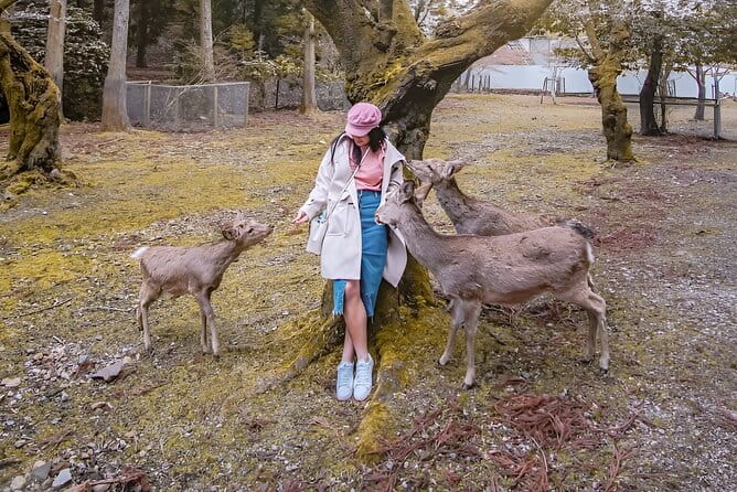 Taste of Nara A Guided Half Day Food Tour Tailored to Your Taste - Enjoying Snacks and Desserts