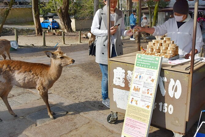 Taste of Nara A Guided Half Day Food Tour Tailored to Your Taste - Meeting and Ending Your Journey