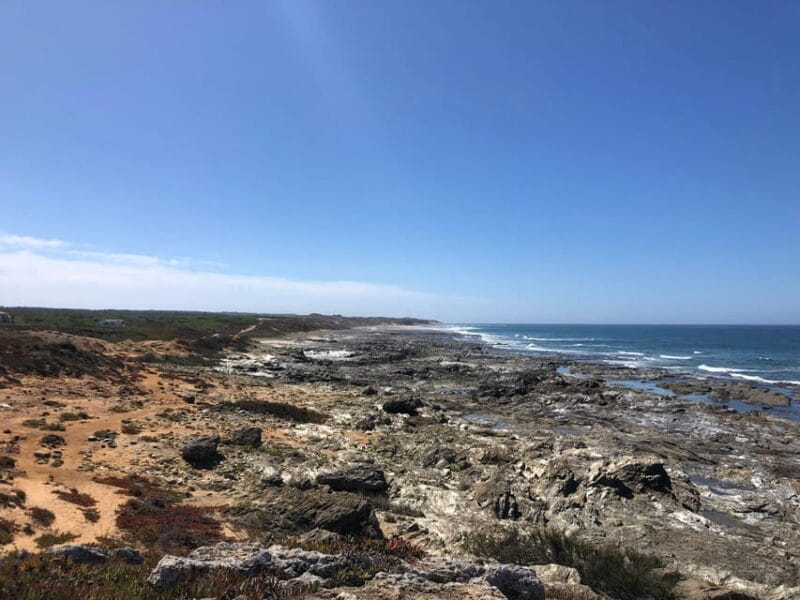 Taste of Setubal: Market Visit and Wine Tastings - Scenic Drive: Vines and Hills