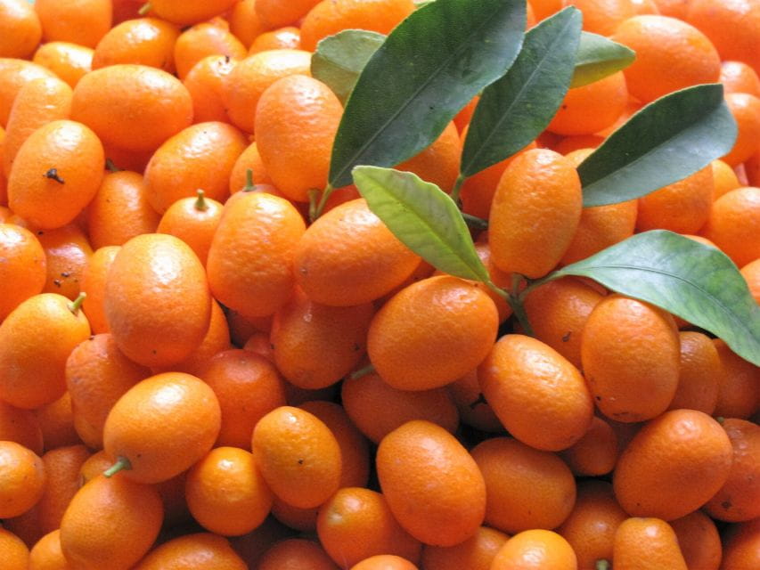 Taste the Local Products and Culinary Treasures of Corfu. - Logistical Information