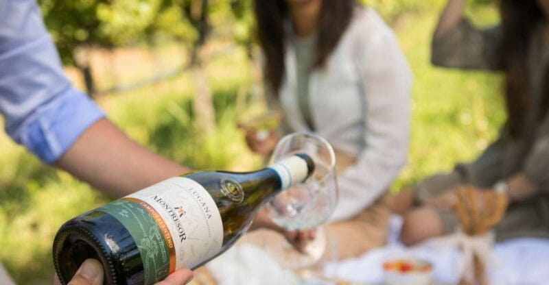 Taste with us Bardolino, Chiaretto and Lugana near Verona - Key Points / Takeaways